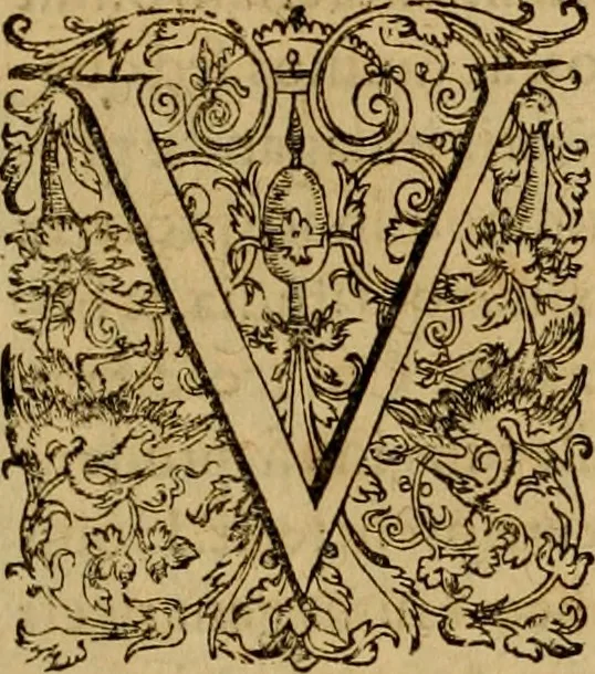 An illustration from D. Francisci Dvareni i.c. celeberrimi, Omnia qvae qvidem hactenvs edita fvervnt opera : non tantvm plvrimis in Digesta seu Pandectas, & Codicem commentariis ac methodicis expositionibus, 1598, leaf 12