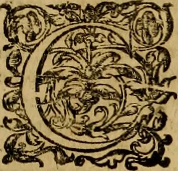 An illustration from D. Francisci Dvareni i.c. celeberrimi, Omnia qvae qvidem hactenvs edita fvervnt opera : non tantvm plvrimis in Digesta seu Pandectas, & Codicem commentariis ac methodicis expositionibus, 1598, leaf 1228
