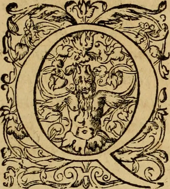 An illustration from D. Francisci Dvareni i.c. celeberrimi, Omnia qvae qvidem hactenvs edita fvervnt opera : non tantvm plvrimis in Digesta seu Pandectas, & Codicem commentariis ac methodicis expositionibus, 1598, leaf 14
