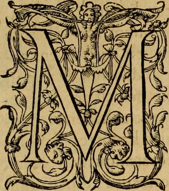 An illustration from D. Francisci Dvareni i.c. celeberrimi, Omnia qvae qvidem hactenvs edita fvervnt opera : non tantvm plvrimis in Digesta seu Pandectas, & Codicem commentariis ac methodicis expositionibus, 1598, leaf 18