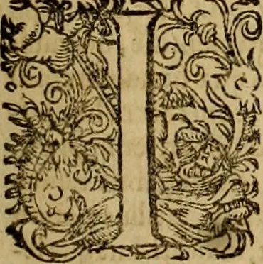 An illustration from D. Francisci Dvareni i.c. celeberrimi, Omnia qvae qvidem hactenvs edita fvervnt opera : non tantvm plvrimis in Digesta seu Pandectas, & Codicem commentariis ac methodicis expositionibus, 1598, leaf 228