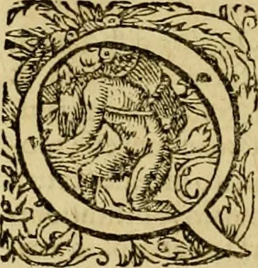 An illustration from D. Francisci Dvareni i.c. celeberrimi, Omnia qvae qvidem hactenvs edita fvervnt opera : non tantvm plvrimis in Digesta seu Pandectas, & Codicem commentariis ac methodicis expositionibus, 1598, leaf 239