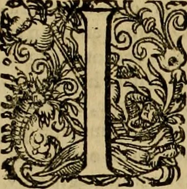 An illustration from D. Francisci Dvareni i.c. celeberrimi, Omnia qvae qvidem hactenvs edita fvervnt opera : non tantvm plvrimis in Digesta seu Pandectas, & Codicem commentariis ac methodicis expositionibus, 1598, leaf 28