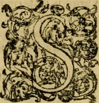An illustration from D. Francisci Dvareni i.c. celeberrimi, Omnia qvae qvidem hactenvs edita fvervnt opera : non tantvm plvrimis in Digesta seu Pandectas, & Codicem commentariis ac methodicis expositionibus, 1598, leaf 299