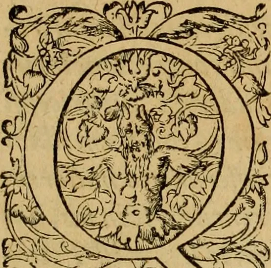 An illustration from D. Francisci Dvareni i.c. celeberrimi, Omnia qvae qvidem hactenvs edita fvervnt opera : non tantvm plvrimis in Digesta seu Pandectas, & Codicem commentariis ac methodicis expositionibus, 1598, leaf 6