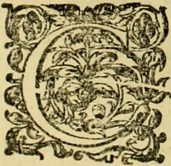 An illustration from D. Francisci Dvareni i.c. celeberrimi, Omnia qvae qvidem hactenvs edita fvervnt opera : non tantvm plvrimis in Digesta seu Pandectas, & Codicem commentariis ac methodicis expositionibus, 1598, leaf 633