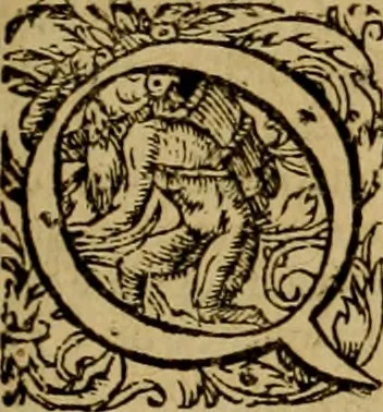 An illustration from D. Francisci Dvareni i.c. celeberrimi, Omnia qvae qvidem hactenvs edita fvervnt opera : non tantvm plvrimis in Digesta seu Pandectas, & Codicem commentariis ac methodicis expositionibus, 1598, leaf 728