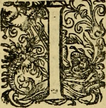 An illustration from D. Francisci Dvareni i.c. celeberrimi, Omnia qvae qvidem hactenvs edita fvervnt opera : non tantvm plvrimis in Digesta seu Pandectas, & Codicem commentariis ac methodicis expositionibus, 1598, leaf 735