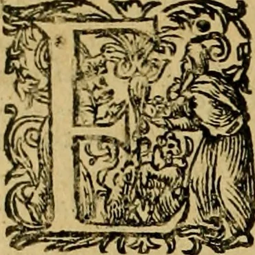 An illustration from D. Francisci Dvareni i.c. celeberrimi, Omnia qvae qvidem hactenvs edita fvervnt opera : non tantvm plvrimis in Digesta seu Pandectas, & Codicem commentariis ac methodicis expositionibus, 1598, leaf 743