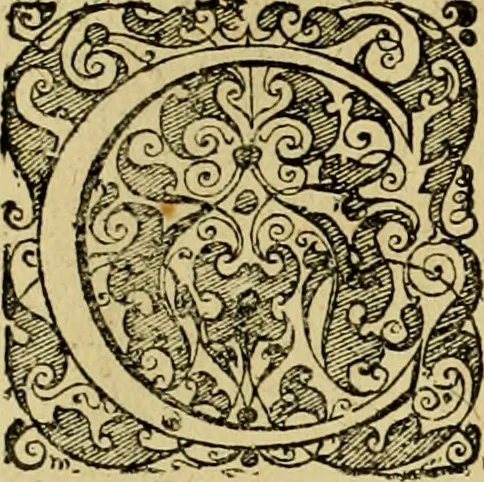An illustration from D. Francisci Dvareni i.c. celeberrimi, Omnia qvae qvidem hactenvs edita fvervnt opera : non tantvm plvrimis in Digesta seu Pandectas, & Codicem commentariis ac methodicis expositionibus, 1598, leaf 867