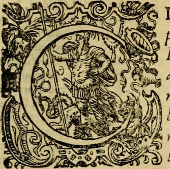An illustration from D. Francisci Dvareni i.c. celeberrimi, Omnia qvae qvidem hactenvs edita fvervnt opera : non tantvm plvrimis in Digesta seu Pandectas, & Codicem commentariis ac methodicis expositionibus, 1598, leaf 881