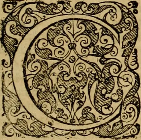 An illustration from D. Francisci Dvareni i.c. celeberrimi, Omnia qvae qvidem hactenvs edita fvervnt opera : non tantvm plvrimis in Digesta seu Pandectas, & Codicem commentariis ac methodicis expositionibus, 1598, leaf 882