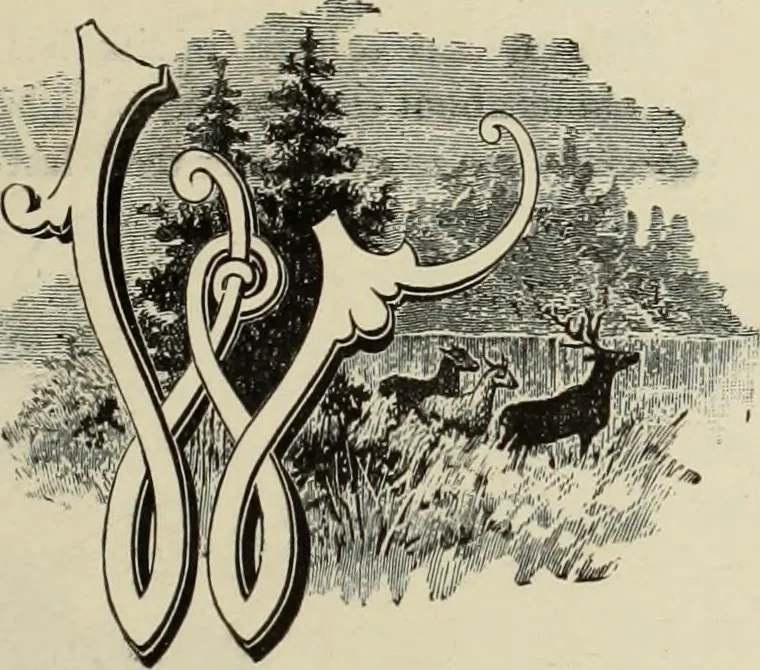 An illustration from Style (1893), 1893, leaf 10