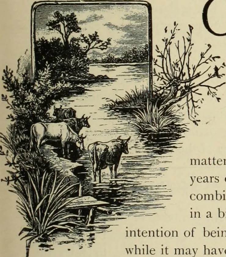 An illustration from Style (1893), 1893, leaf 136