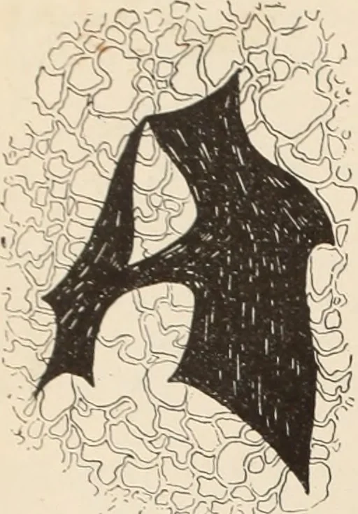 An illustration from Style (1893), 1893, leaf 139