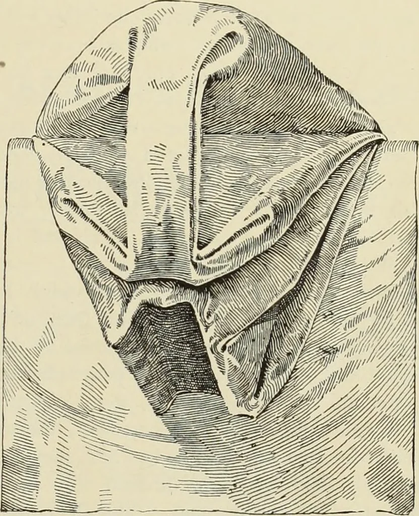 An illustration from Style (1893), 1893, leaf 158