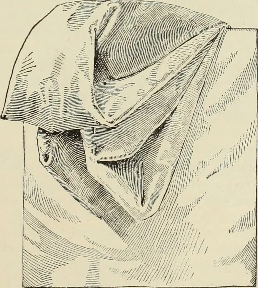 An illustration from Style (1893), 1893, leaf 158