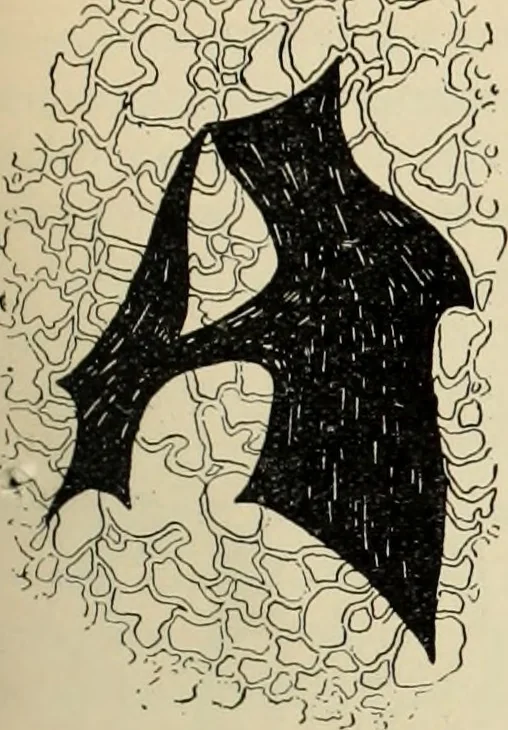 An illustration from Style (1893), 1893, leaf 168