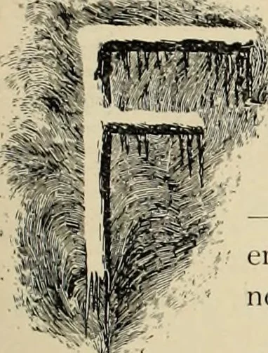An illustration from Style (1893), 1893, leaf 188