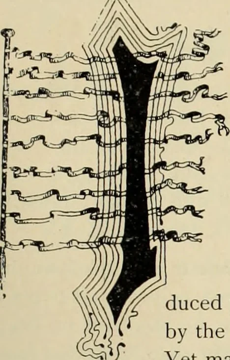 An illustration from Style (1893), 1893, leaf 192