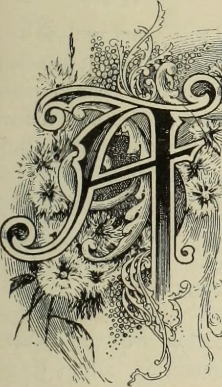 An illustration from Style (1893), 1893, leaf 2