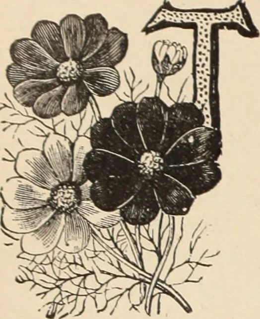 An illustration from Style (1893), 1893, leaf 241