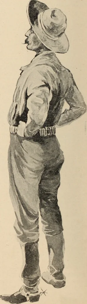An illustration from Style (1893), 1893, leaf 263