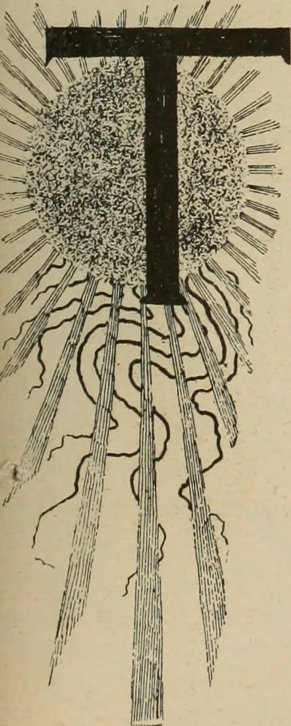 An illustration from Style (1893), 1893, leaf 274