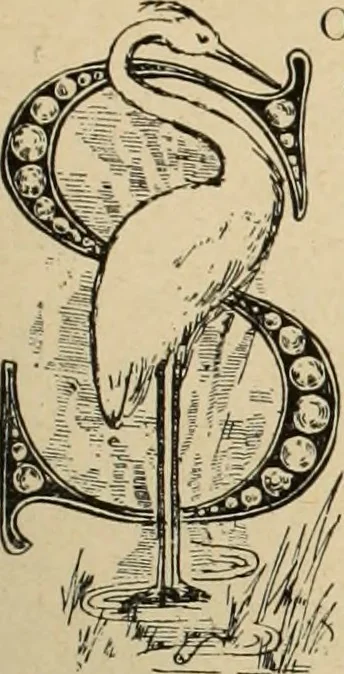 An illustration from Style (1893), 1893, leaf 282