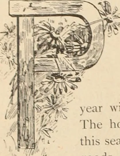 An illustration from Style (1893), 1893, leaf 283