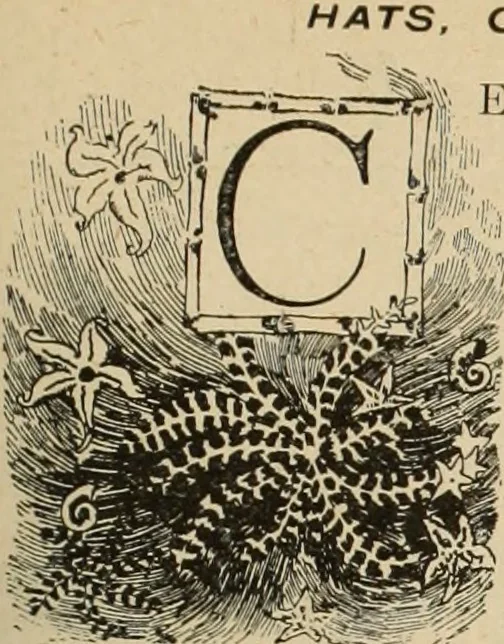 An illustration from Style (1893), 1893, leaf 290