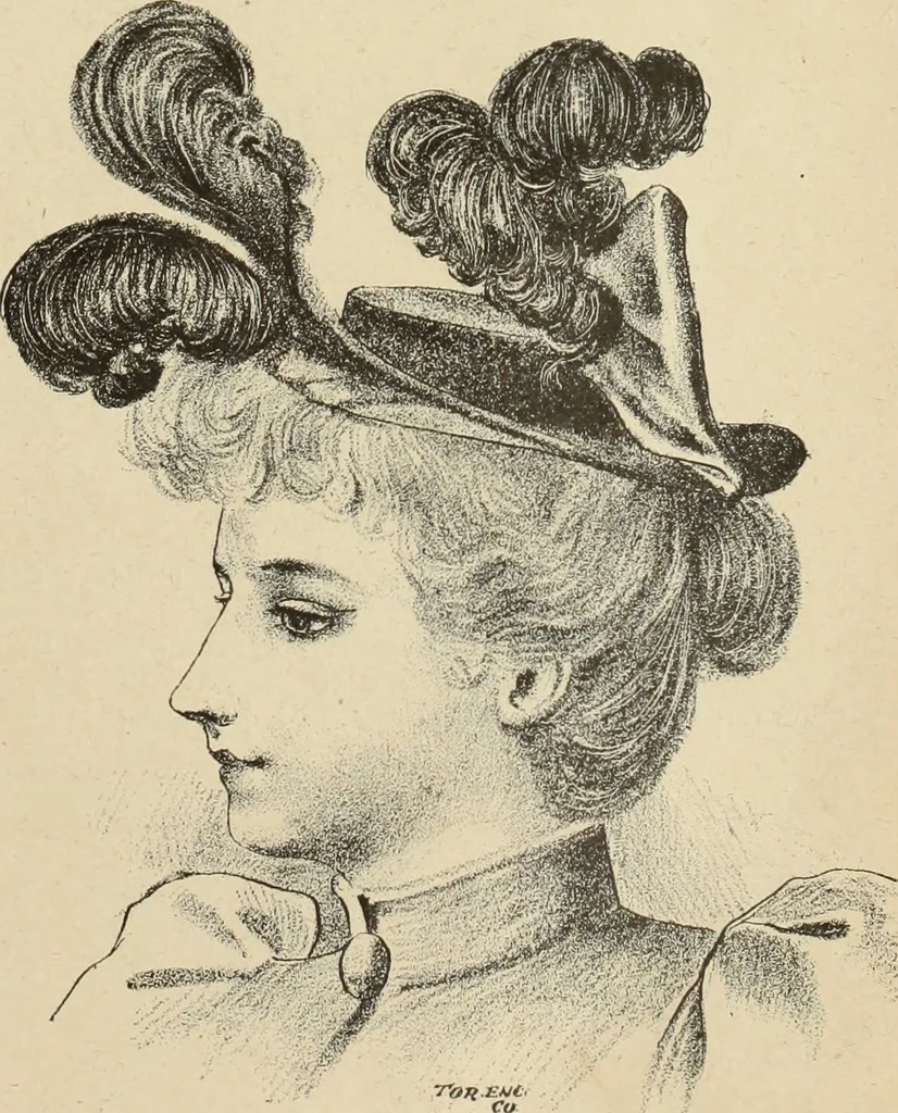 An illustration from Style (1893), 1893, leaf 296