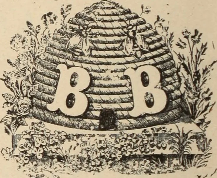 An illustration from Style (1893), 1893, leaf 301