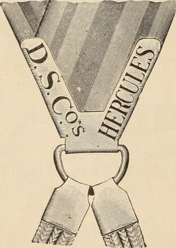 An illustration from Style (1893), 1893, leaf 303