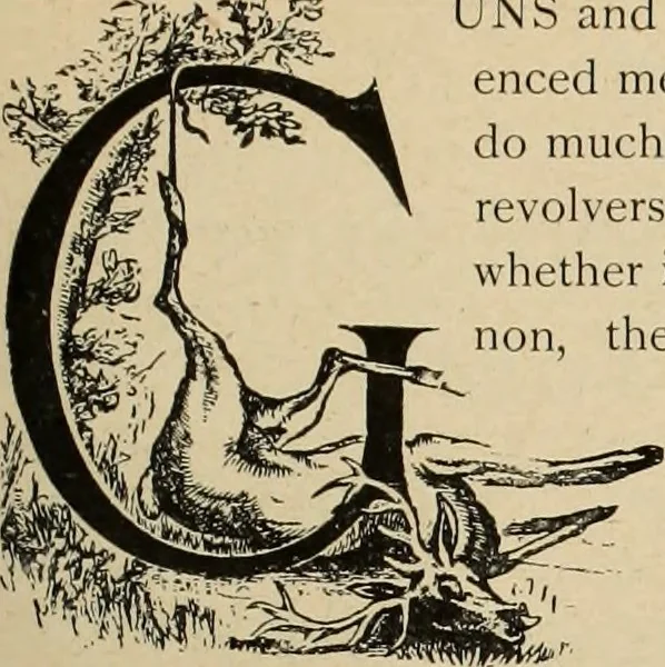 An illustration from Style (1893), 1893, leaf 312