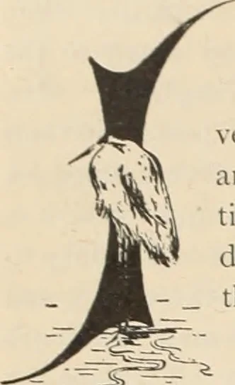 An illustration from Style (1893), 1893, leaf 333