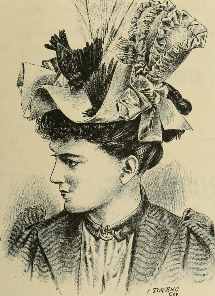 An illustration from Style (1893), 1893, leaf 342