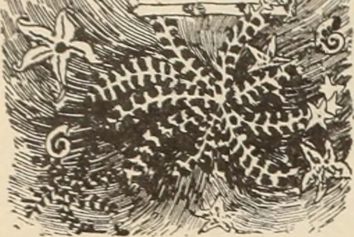 An illustration from Style (1893), 1893, leaf 361