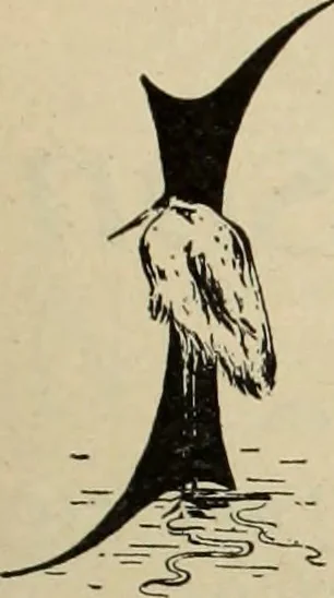 An illustration from Style (1893), 1893, leaf 384