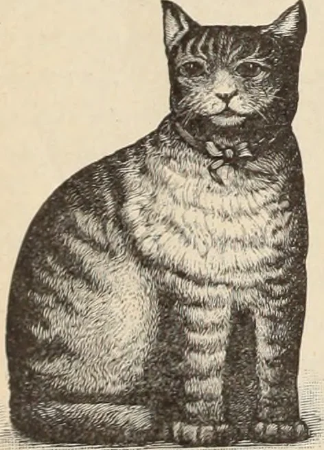 An illustration from Style (1893), 1893, leaf 385