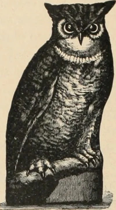 An illustration from Style (1893), 1893, leaf 413