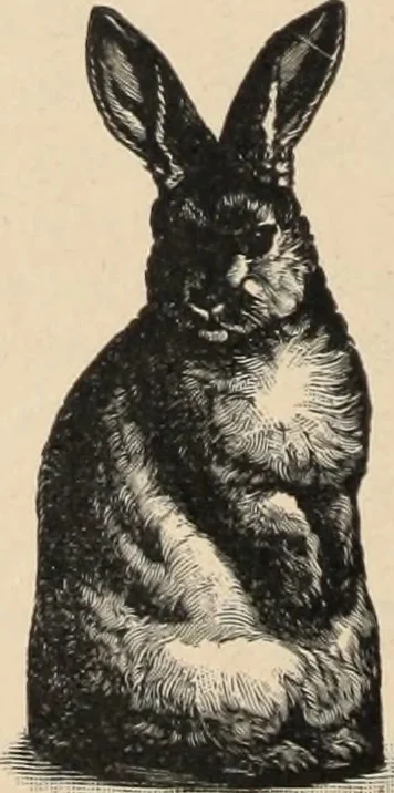 An illustration from Style (1893), 1893, leaf 413