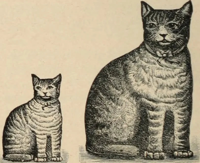 An illustration from Style (1893), 1893, leaf 413