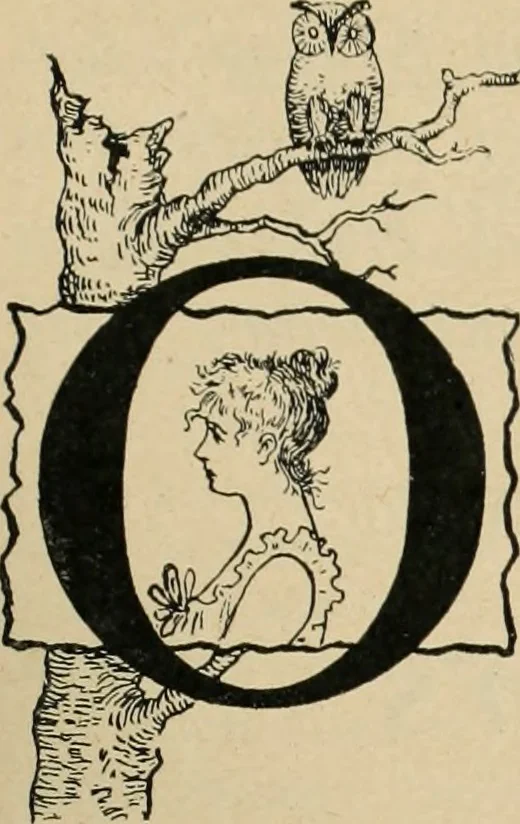 An illustration from Style (1893), 1893, leaf 416