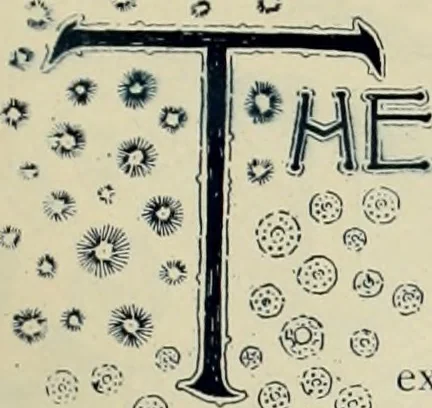 An illustration from Style (1893), 1893, leaf 50