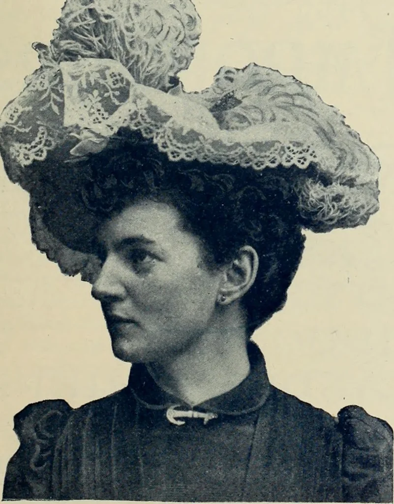 An illustration from Style (1893), 1893, leaf 76