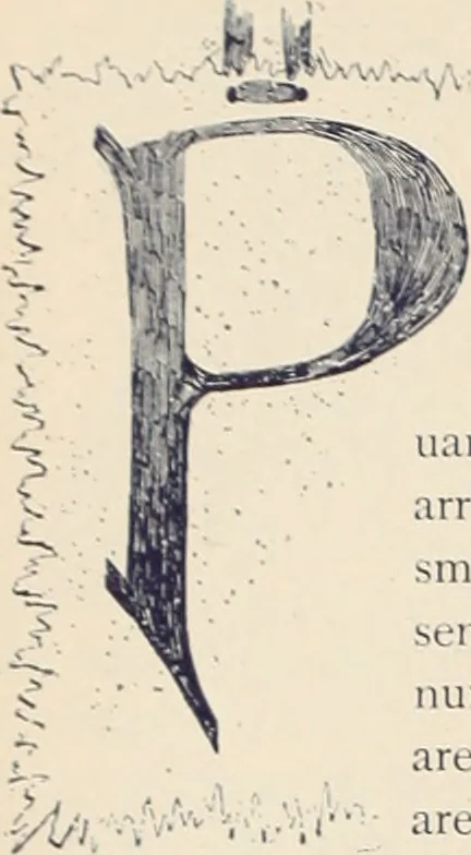 An illustration from Style (1893), 1893, leaf 95