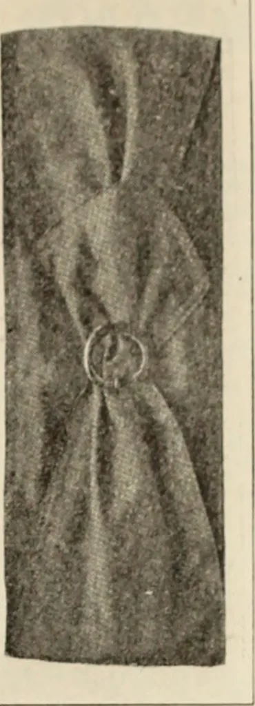 An illustration from Style (1904), 1904, leaf 1020
