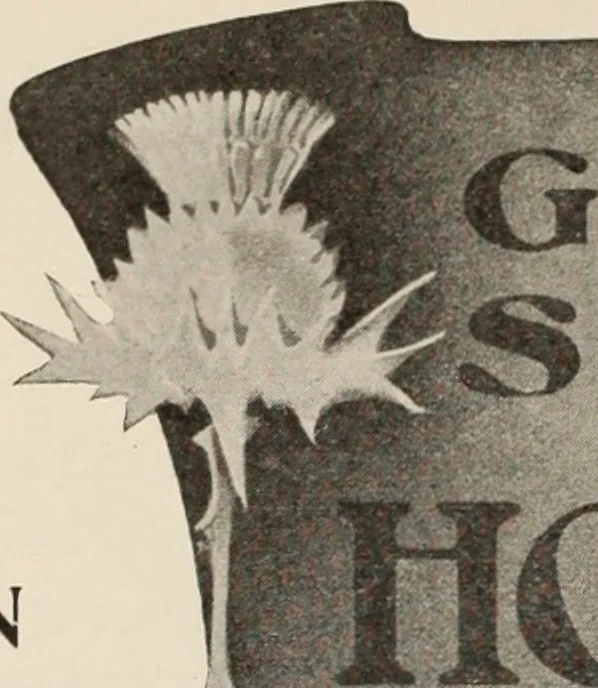 An illustration from Style (1904), 1904, leaf 1023