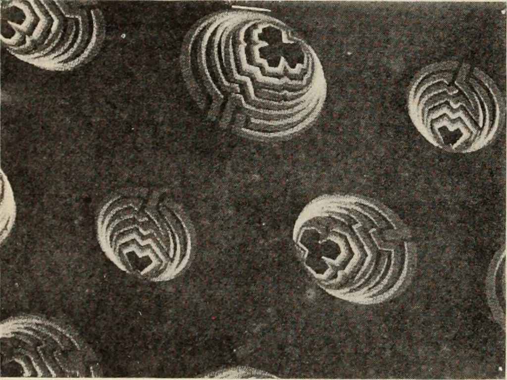 An illustration from Style (1904), 1904, leaf 1041